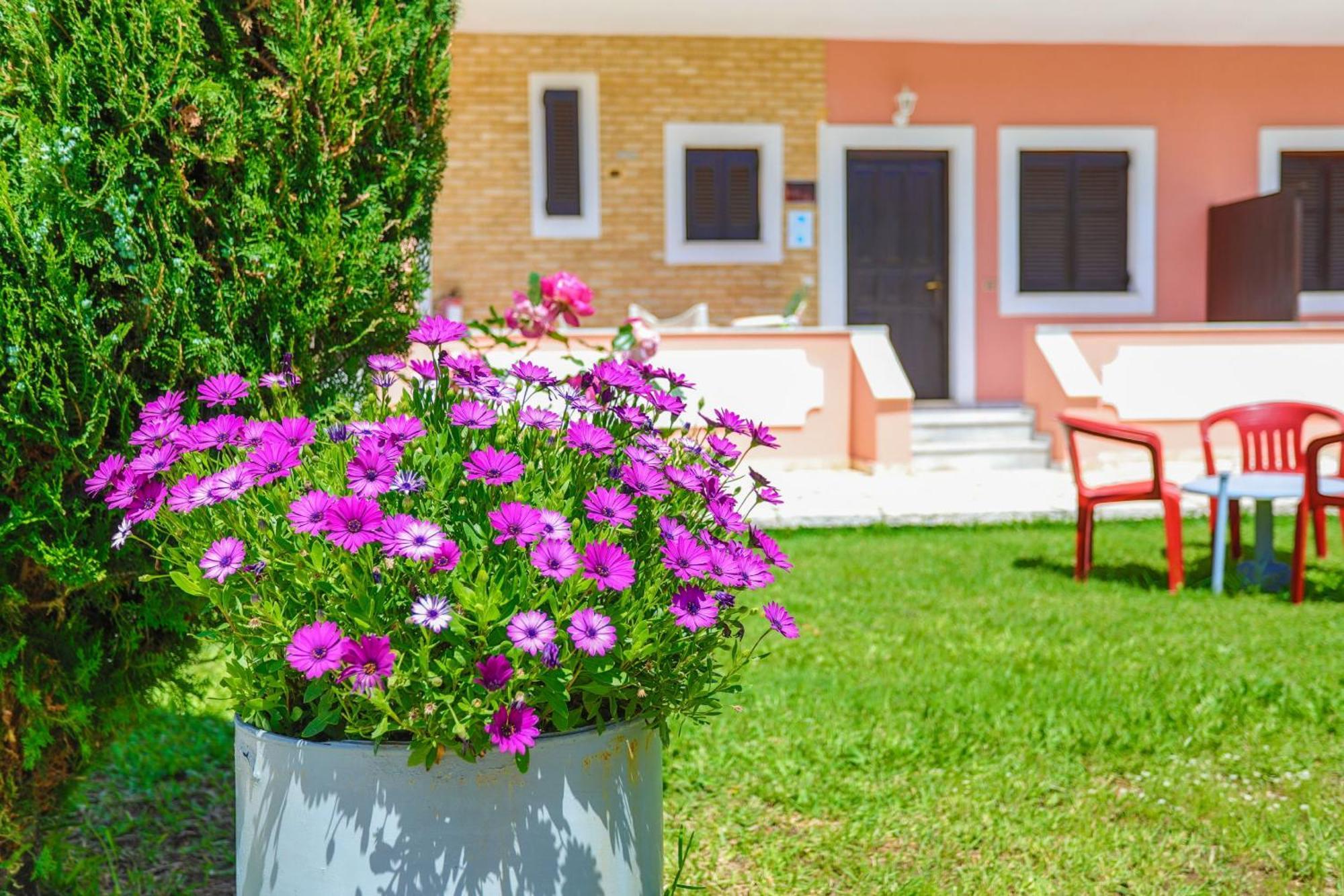 Amarylis Apartment Plage d'Almiros Extérieur photo